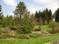 Arboretum - jaro