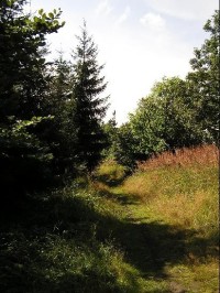 Vrchol Krátká: Pohled od rozcestníku na vrcholu směrem ke Krátké-rozcestí.