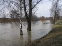 Soutok Odry a Opavy - při povodních březen 2006: Soutok Odry a Opavy - při povodních březen 2006