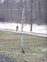 Soutok Odry a Opavy - při povodních březen 2006: Soutok Odry a Opavy - při povodních březen 2006