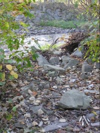 Malý Lipový potok: Malý Lipový potok - poslední metry