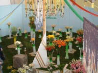 Výstava jaro 2003