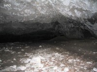 kam to vede - Mažarná