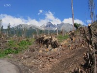 V.Tatry,kalamita a Lomnický štít