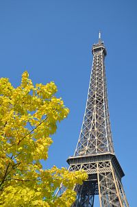 První Div Paříže - Eiffelova věž