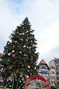 Vánoční strom v Štrasburku