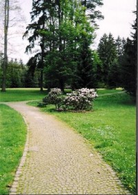 lázeňský park: ideální pro klidné procházky