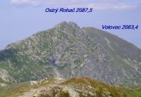 Ostrý roháč a Volovec