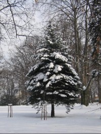 Valašské Meziříčí - park v zimě: Valašské Meziříčí - park v zimě