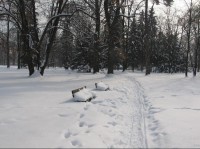 Valašské Meziříčí - park v zimě: Valašské Meziříčí - park v zimě