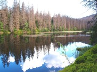 Jezero z bývalého odpočívadla v květnu 2011