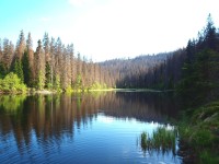 Vlastní, z vyhlídky zabírané jezero Laka v květnu 20111