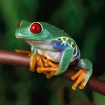 fotka uživatele Gargamel1