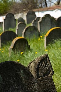 Židovský hřbitov ve Spáleném Poříčí