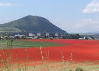 Šarišský hrad: Hradný vrch v červenom