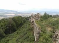 Šarišský hrad: Hradby po obvode hradného kpca su silne narušené stromami