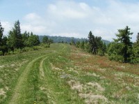 Nad Lačnovom: Typický hrebeňový chodník medzi Bachurňou (1081) a Mindžovou (920)