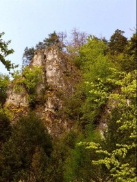 Lačnovský kaňon: Skalná stena nad vstupom do kaňonu