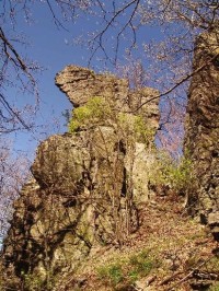 Zamutovské skaly: Niektoré skalné vežičky majú bizarné tvary