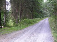 Cesta: Cesta směrem na Solnou chatu, vedlejší lesní cesta směrem na Bílý potok