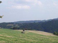 Doubravy: Pohled na pole s posedem v Doubravách