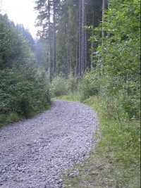 Cesta: Cesta směrem na Ústí Poledňany