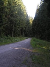 Cesta: Cesta od rozstníku směrem na Údolí Černé