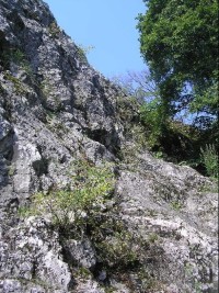 Vaňův kámen: Detail kamene