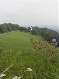 Svinec: Pohled na kopec Svinec, v pozadí turistická chata