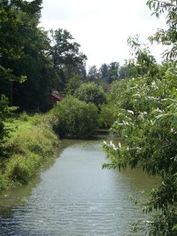 Koupaliště: Pohled na řeku, místní přírodní koupaliště