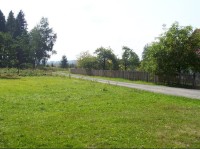 Cesta: Pohled od rozcestníku směrem na Lesní Albrechtice
