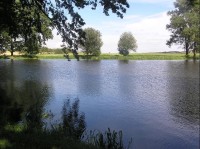 Rybník: Chovný rybník u Štáblovic