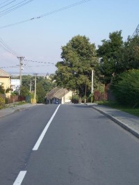 Cesta: Hlavní cesta směrem na Raduň, vpozadí Raduň zámek