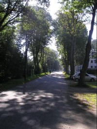 Cesta: Pohled od rozcestníku směrem na Budišov
