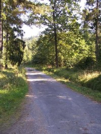 Cesta: Cesta směrem na Hrabyň