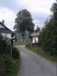 Zadní Ves: Pohled na vesnici