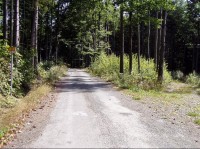 Cesta: Asfaltová cesta (cyklotrasa č. 6161) vedoucí směr Mezina, vpravo lesní cesta (značená modrá) směr Černý most 