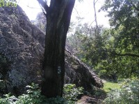 Váňův kámen: Pohled na kámen od rozcestníku