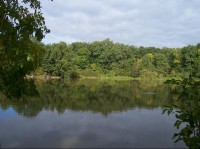 Horní Bravantický rybník