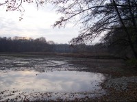 Střelný rybník: Pohled na rybník