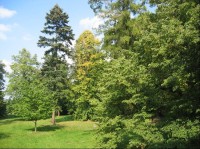 Zámecký park: s významnými dřevinami, rozloha 3,9 ha.