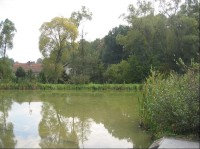 Rybníky v Trnávce