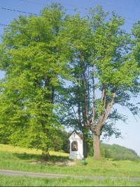 kaplička nad vesnicí cestou do Palkovic
