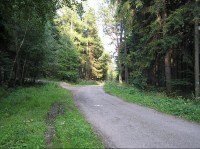 Ze sedla - doleva lesem na Horečky, doprava po lesní cestě (značená běžkařská trať)