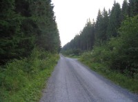 rozcestí s pomníčkem po cestě k Annenské myslivně, odbočení cyklotrasy (doprava)