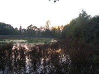Západ nad Zímním rybníkem