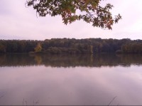 Pohled na rybník od severu