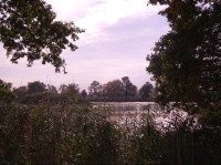 Pohled na rybník od severu