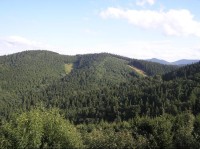 Pohled z rozhledny na vrchol Ostružná (vlevo)