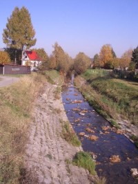 Olešná u soutoku s potokem v Palkovicích